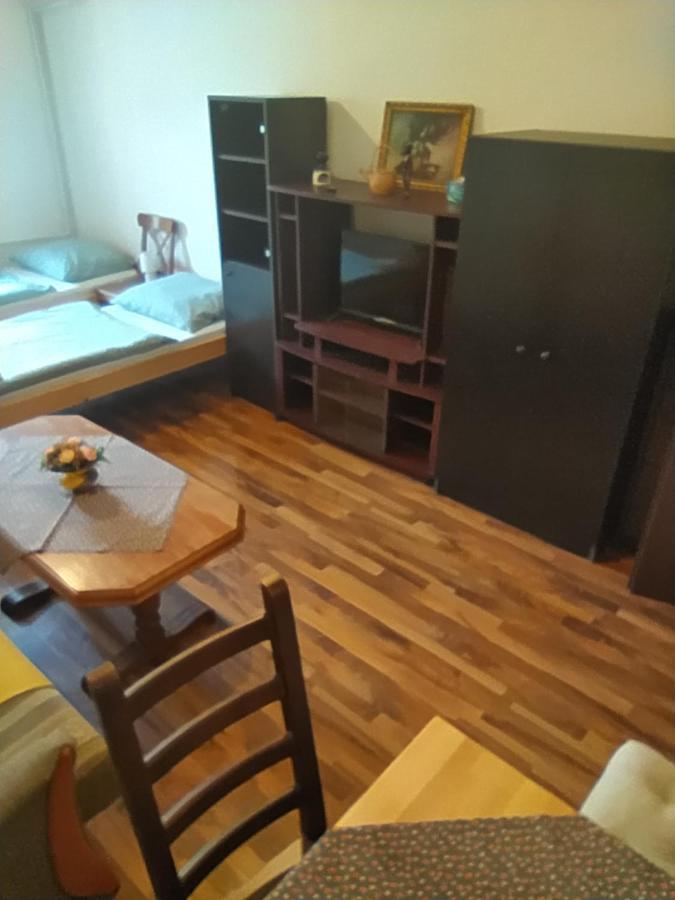 Frenštát pod RadhoštěmTuristicky Apartman ,Pro 3-4Osアパートメント エクステリア 写真