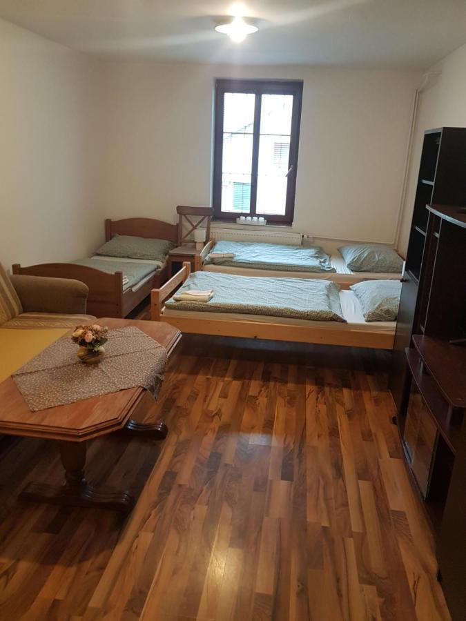 Frenštát pod RadhoštěmTuristicky Apartman ,Pro 3-4Osアパートメント エクステリア 写真