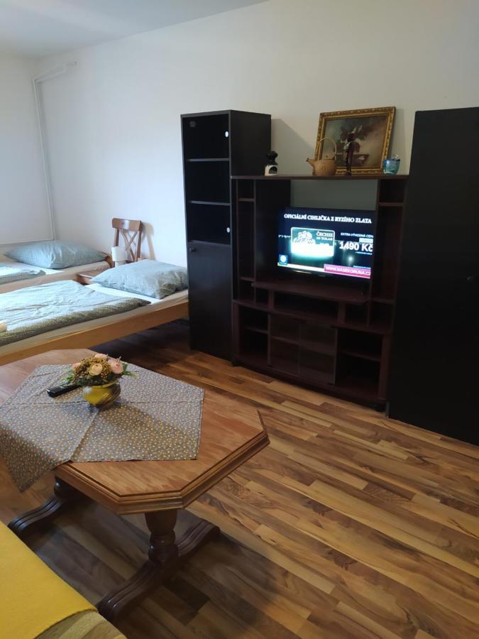 Frenštát pod RadhoštěmTuristicky Apartman ,Pro 3-4Osアパートメント エクステリア 写真